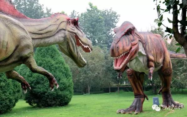 让你的假期多一份,让你的假期充满乐趣