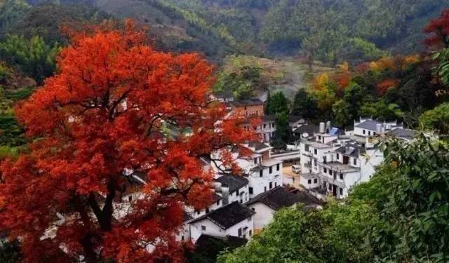 适合户外运动的旅游推荐,十一最值得去的旅游景点