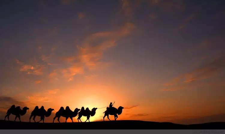 国庆节特别策划②乐游·邂逅深秋醉美的内蒙古