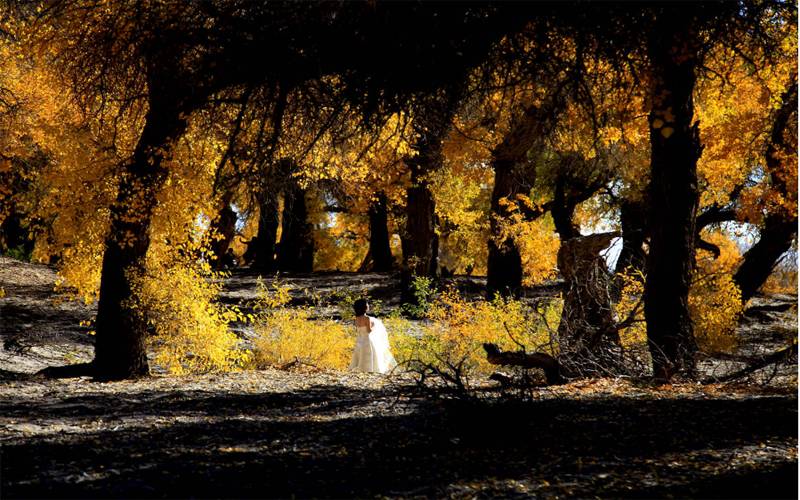 国庆节特别策划②乐游·邂逅深秋醉美的内蒙古