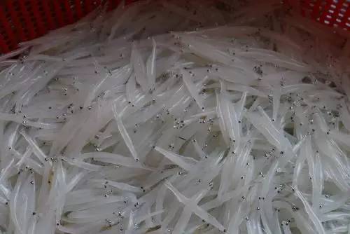 广西最有影响力的7个县,广西优秀的学习榜样