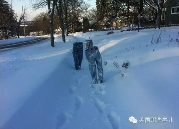 你能不能不颤抖地回答我周末有多冷？