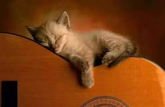 乌鲁木齐美食甜品,美食乌鲁木齐甜品