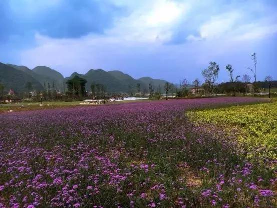 贵安新区游玩推荐,贵安新区最好玩儿的公园