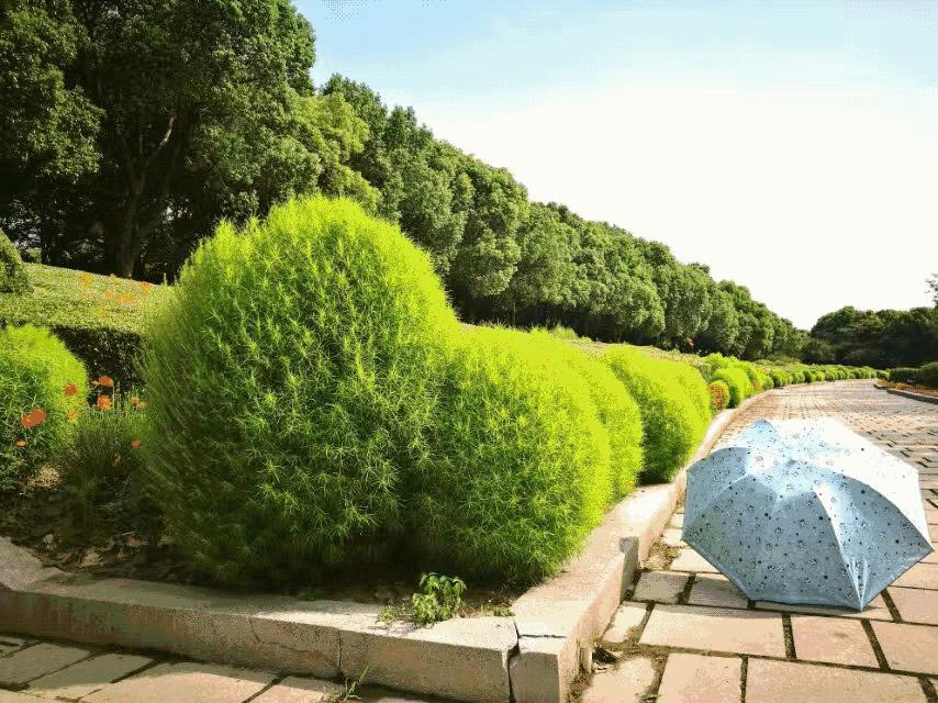 周末上海浦东有什么好玩的,五一上海浦东游玩攻略最全