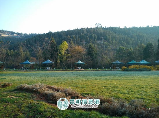 今年国庆节节昆明八大公园免费,昆明国庆节免费开放公园