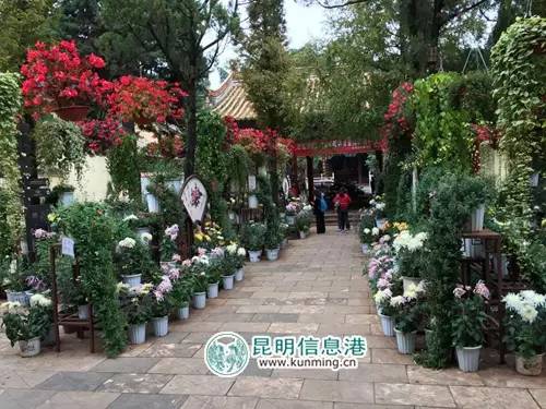 今年国庆节节昆明八大公园免费,昆明国庆节免费开放公园