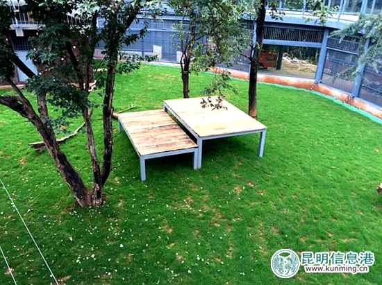 今年国庆节节昆明八大公园免费,昆明国庆节免费开放公园