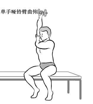 在家用哑铃锻炼背详细教学,瘦子在家哑铃锻炼全身肌肉