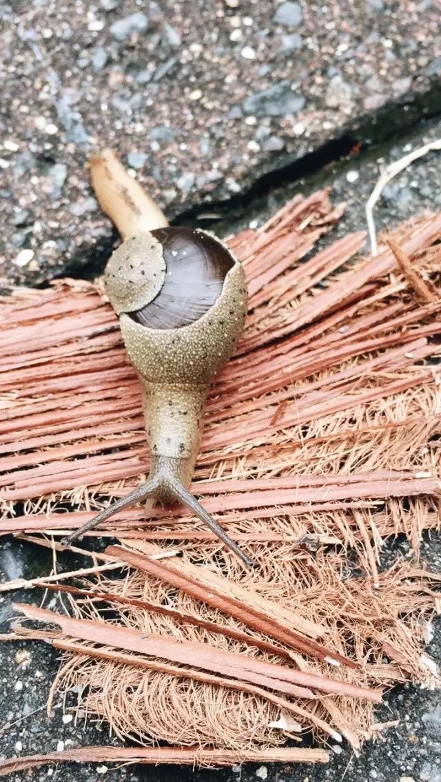 蒙氏教育的什么是蒙氏教育的核心,蒙氏园让孩子自由操作的意义