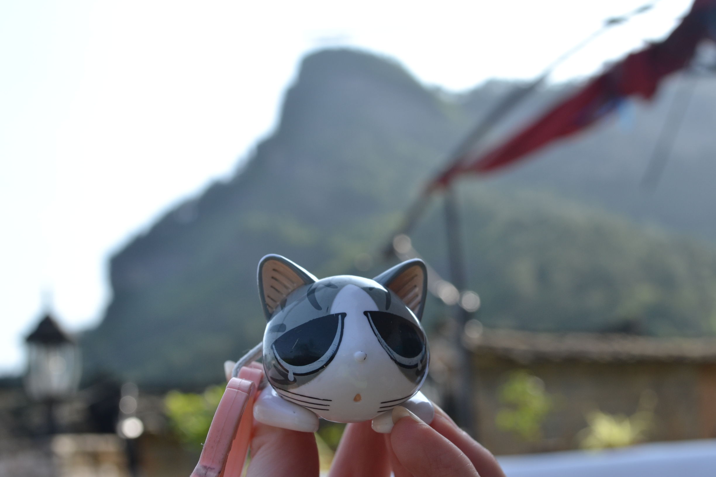 强行虐狗~适合情侣一起入住的温情酒店TOP12