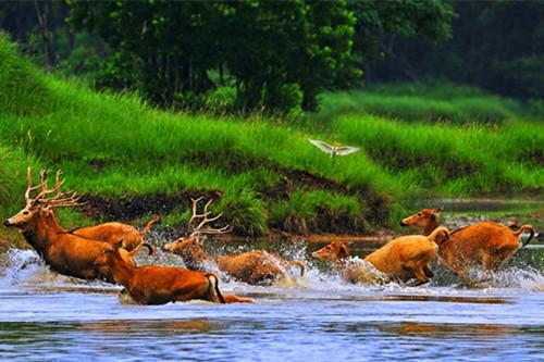 江苏三个沿海城市,江苏哪3个沿海城市