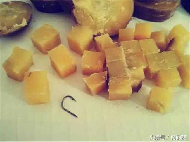 野钓用这五款天然饵料,钩尖江湖饵料靠谱吗