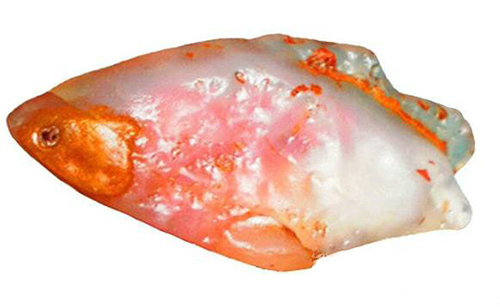 小石头和国宝,小石头国宝