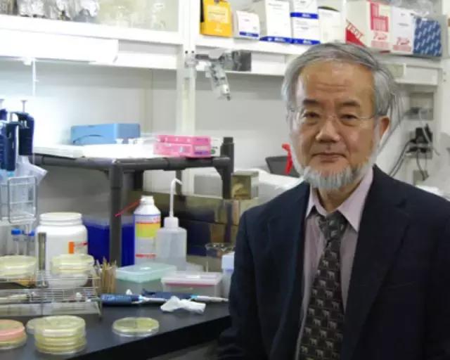 从诺贝尔奖角度看生命科学,诺贝尔医学奖日本癌症