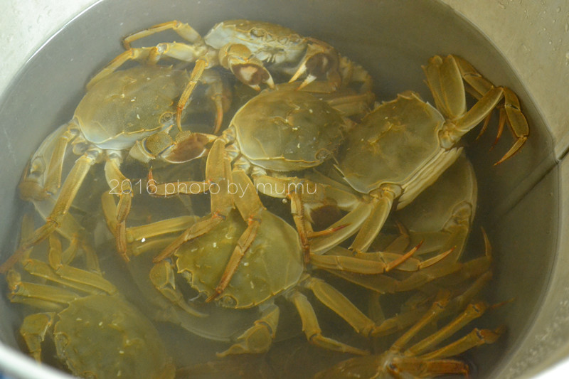 螃蟹怎么清洗干净最快方法,冷冻的螃蟹怎么清洗干净