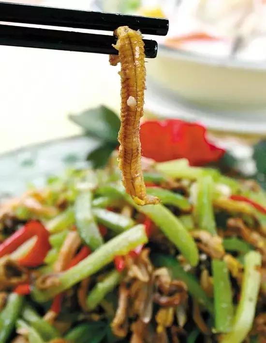 顺德禾虫吃起来是什么感觉,佛山哪里有禾虫吃