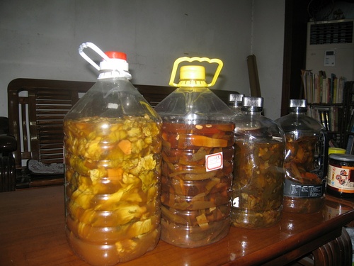 使用神奇水果酵素有什么好处,水果酵素的正确使用方法