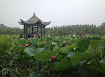 山东蓬莱海洋极地世界门票多少钱,山东郓城水浒城现在门票多少钱