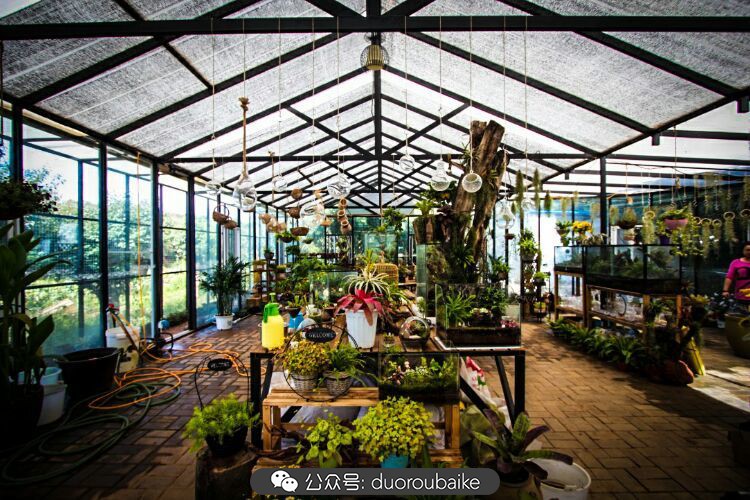 向阳的玻璃花房,玻璃花房设计建造