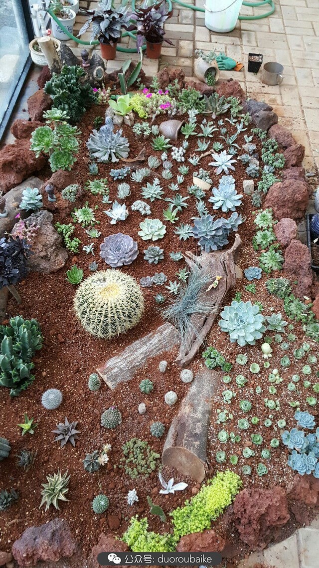 向阳的玻璃花房,玻璃花房设计建造