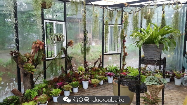 向阳的玻璃花房,玻璃花房设计建造