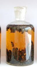 小儿咳嗽食疗偏方大全,咳嗽白痰食疗有偏方吗