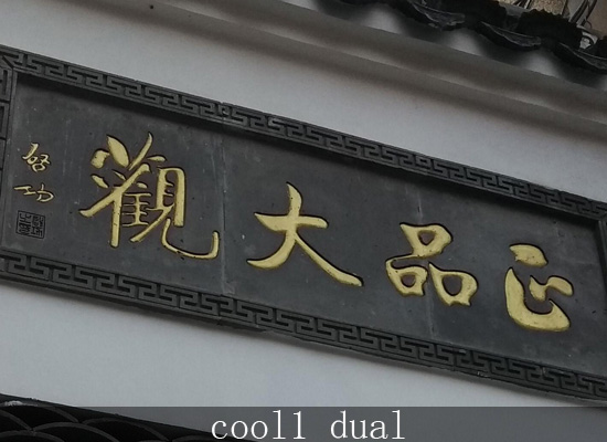 cooldual1参数,cool1dual生态手机