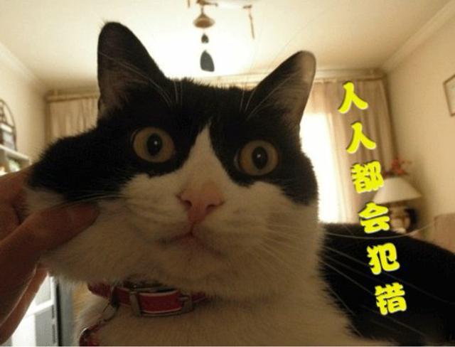 互联网手机充值充错号码后的悲剧，值得你我深思！