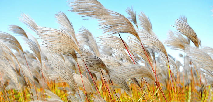 ps调色中式婚纱照,2022ps婚纱外景调色教程