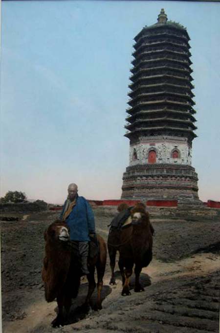 绉嬮绉嬮洦鍥剧墖鎽勫奖,绉嬮绉嬮煹鍥剧墖