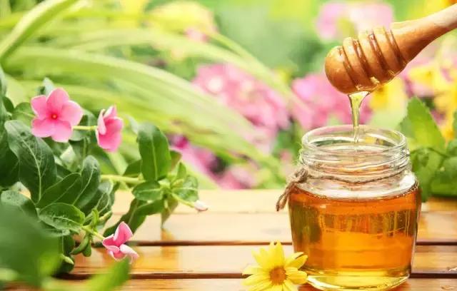 寒露时节美食养生,寒露时节经络养生应以调养为主