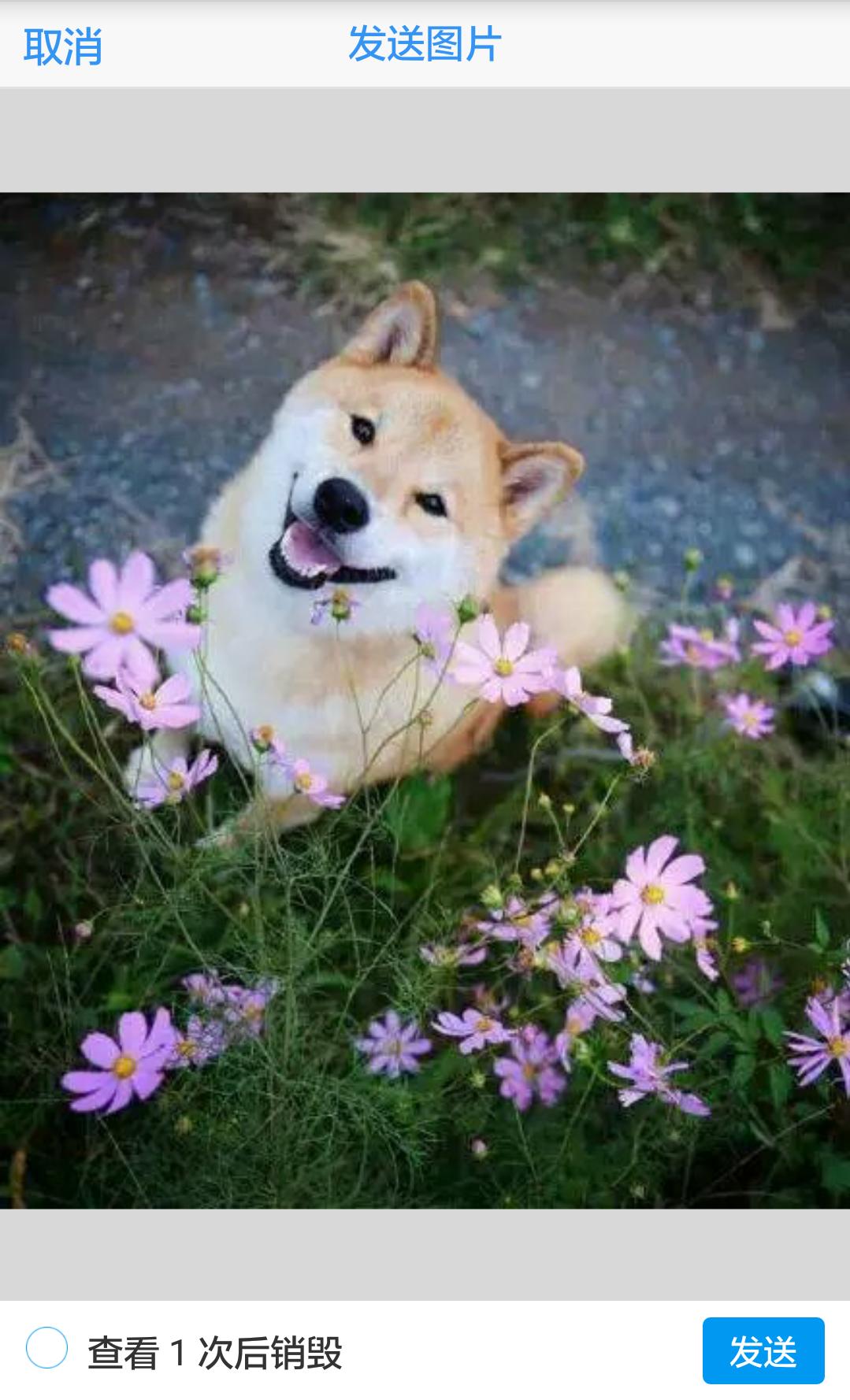 腾讯qq有新功能吗,腾讯qq有哪些不为人知的事