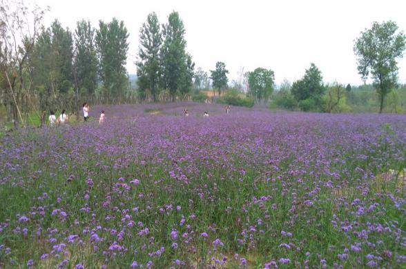 大别山中大金寨，这23个乡镇貌美如花，十一你不来？