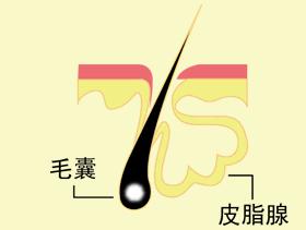 黑头反复挤不完的原因,黑头产生的原因及解决方法