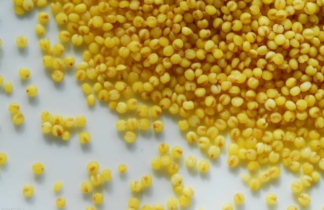 小米有10大神奇功效,小米的神奇功能