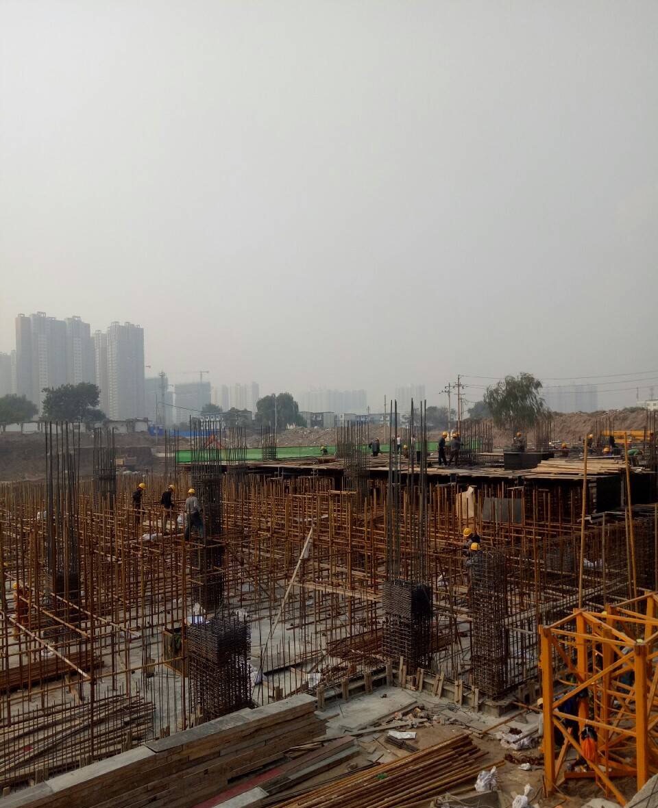 农民工养猪自述,农民工的灵魂自述