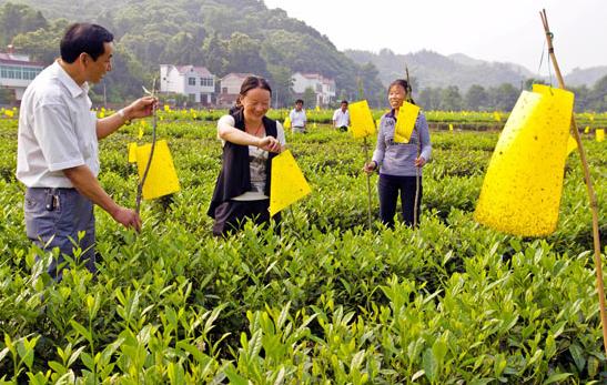 大别山中大金寨，这23个乡镇貌美如花，十一你不来？