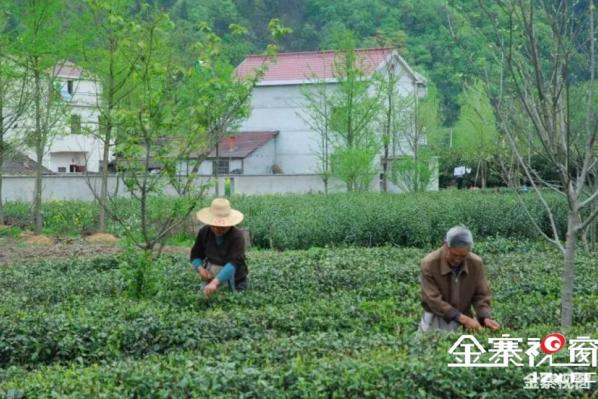 大别山中大金寨，这23个乡镇貌美如花，十一你不来？