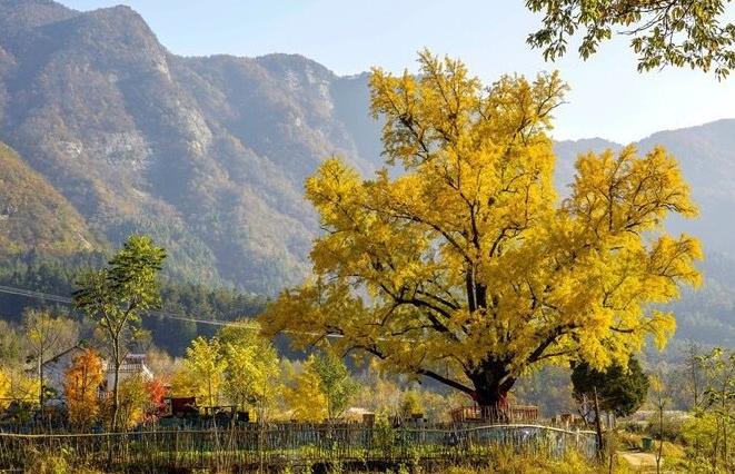 大别山中大金寨，这23个乡镇貌美如花，十一你不来？