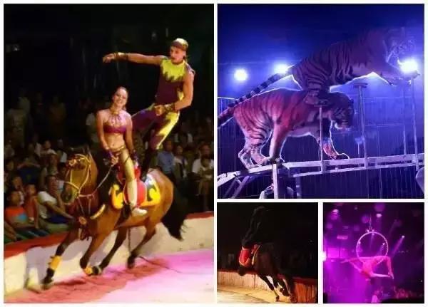 天津亲子国庆节,六一天津亲子游