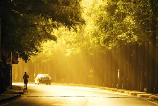 大连最美路线图,大连最美步行路推荐