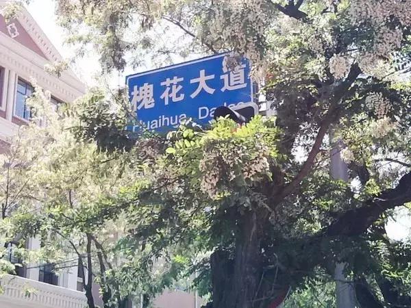 大连最美路线图,大连最美步行路推荐