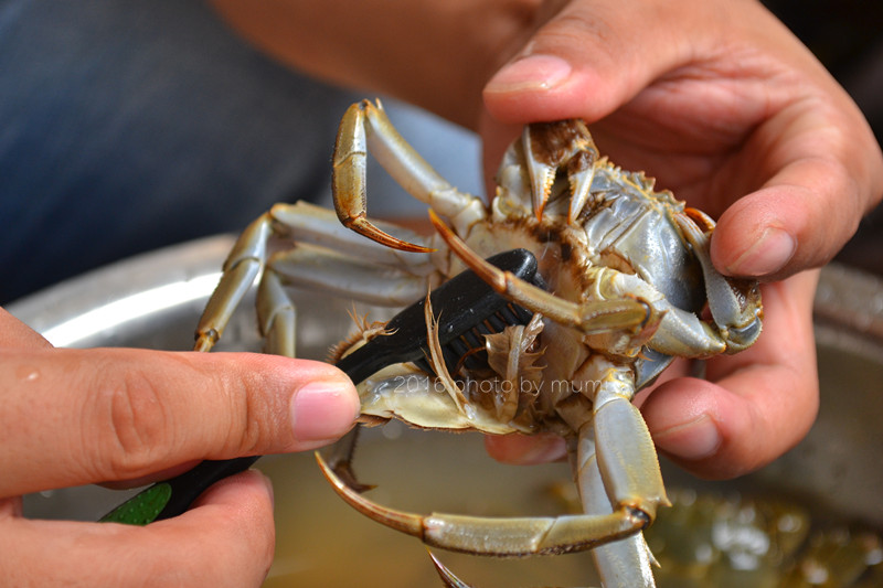 螃蟹怎么清洗干净最快方法,冷冻的螃蟹怎么清洗干净