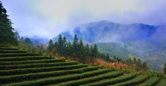 武夷山高档民宿,武夷山好住宿