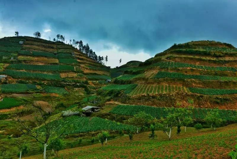 养鸡养羊还养生，德宏的这个地方，去了就不想走了！