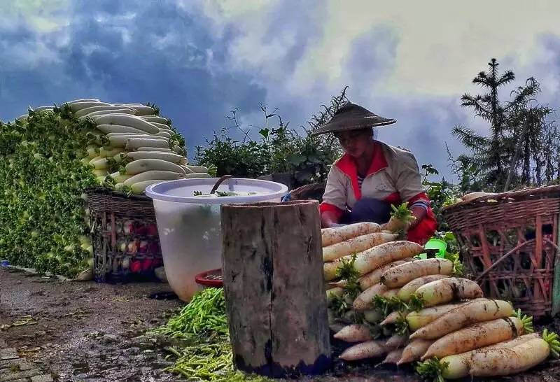 养鸡养羊还养生，德宏的这个地方，去了就不想走了！