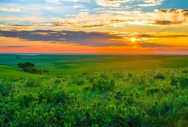 美国50大州排名,美国五十州排名