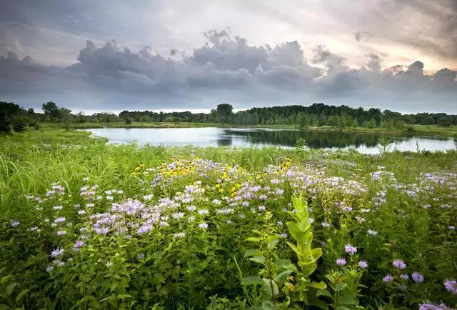 美国50大州排名,美国五十州排名