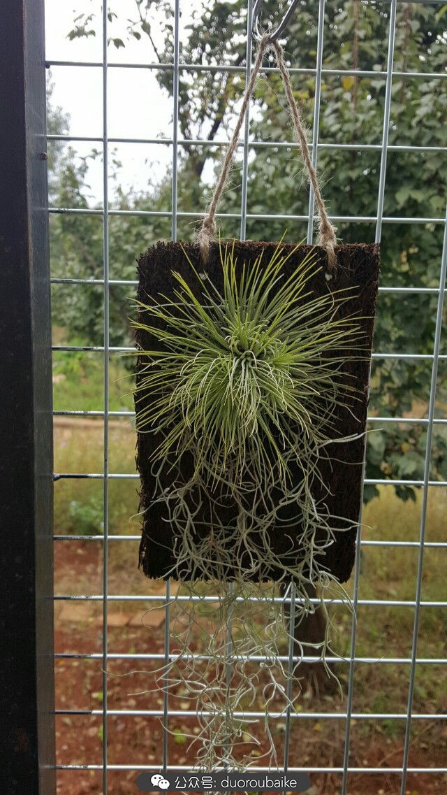 向阳的玻璃花房,玻璃花房设计建造